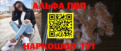 меф Кингисепп
